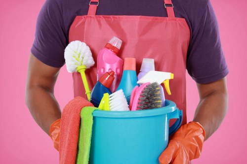 Steam carpet cleaning service for a W3 home interior