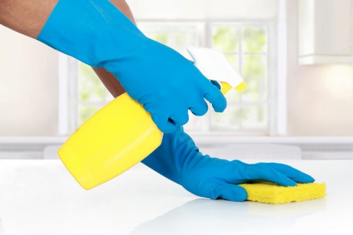 Deep cleaning service for a W3 home kitchen and surfaces