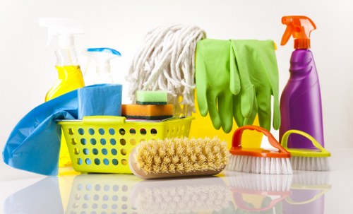 Professional hard floor cleaning for homes and businesses in W3