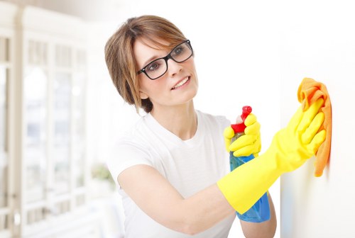 Regular domestic cleaning in a W3 apartment or flat