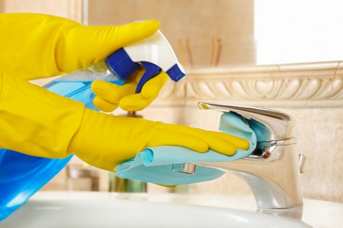 Building exterior cleaning service tailored to W3 access and property types