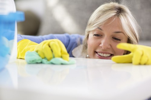Detailed end of tenancy cleaning for flats and houses in W3