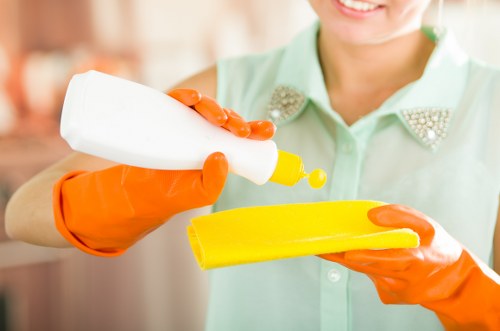 Seasonal gutter cleaning to prevent overflow and water damage
